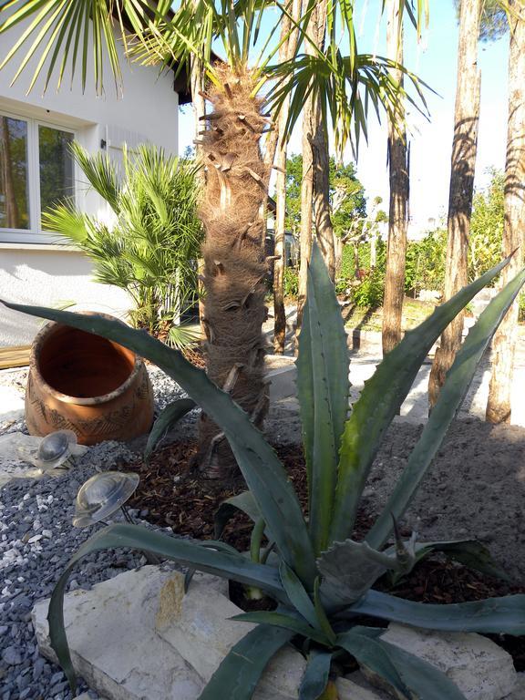 Bed & Breakfast Mogador Piscine Et Balneo Andernos-les-Bains
